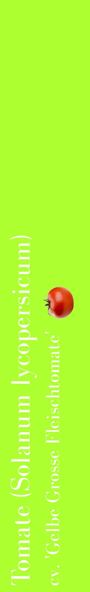 Étiquette de : Solanum lycopersicum cv. 'Gelbe Grosse Fleischtomate' - format c - style blanche17_basiquebod avec comestibilité simplifiée