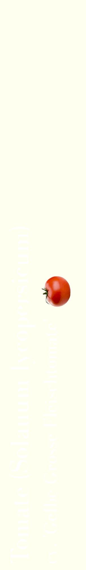 Étiquette de : Solanum lycopersicum cv. 'Gelbe Grosse Fleischtomate' - format c - style blanche19_basiquebod avec comestibilité simplifiée