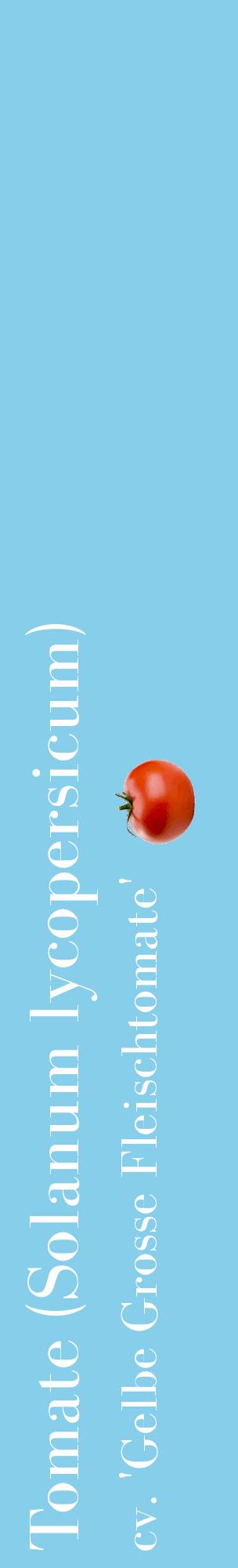 Étiquette de : Solanum lycopersicum cv. 'Gelbe Grosse Fleischtomate' - format c - style blanche1_basiquebod avec comestibilité simplifiée