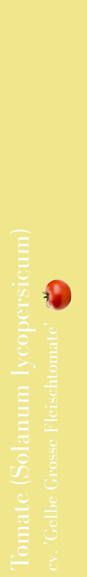 Étiquette de : Solanum lycopersicum cv. 'Gelbe Grosse Fleischtomate' - format c - style blanche20_basiquebod avec comestibilité simplifiée