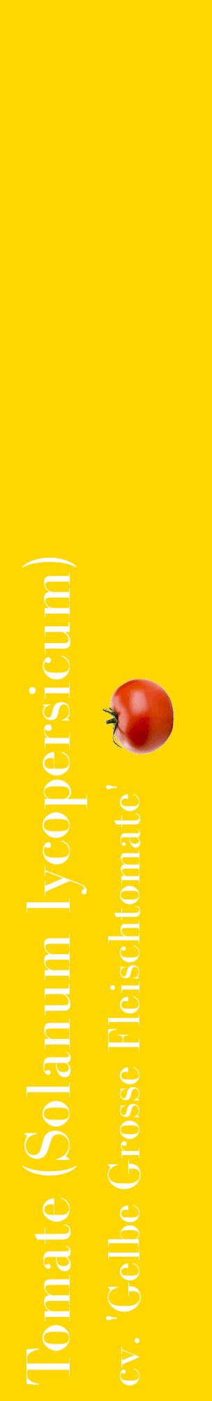 Étiquette de : Solanum lycopersicum cv. 'Gelbe Grosse Fleischtomate' - format c - style blanche21_basiquebod avec comestibilité simplifiée