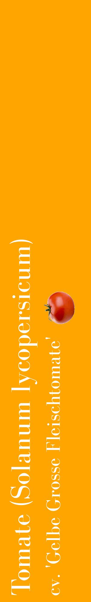Étiquette de : Solanum lycopersicum cv. 'Gelbe Grosse Fleischtomate' - format c - style blanche22_basiquebod avec comestibilité simplifiée