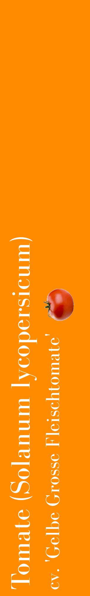 Étiquette de : Solanum lycopersicum cv. 'Gelbe Grosse Fleischtomate' - format c - style blanche23_basiquebod avec comestibilité simplifiée