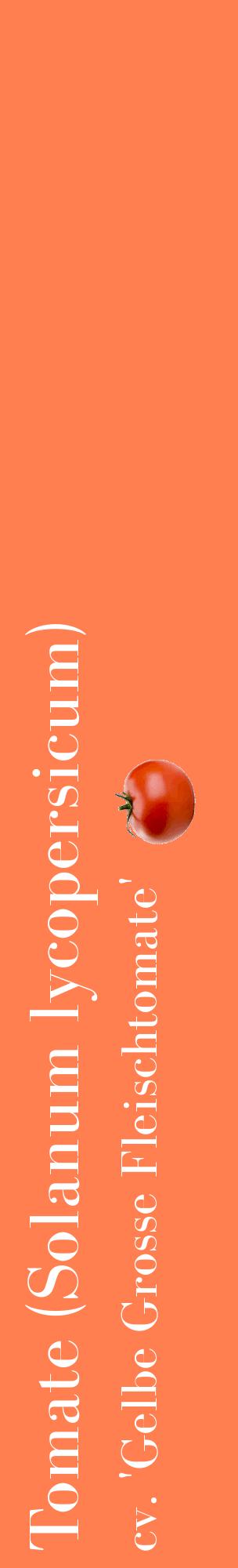 Étiquette de : Solanum lycopersicum cv. 'Gelbe Grosse Fleischtomate' - format c - style blanche24_basiquebod avec comestibilité simplifiée
