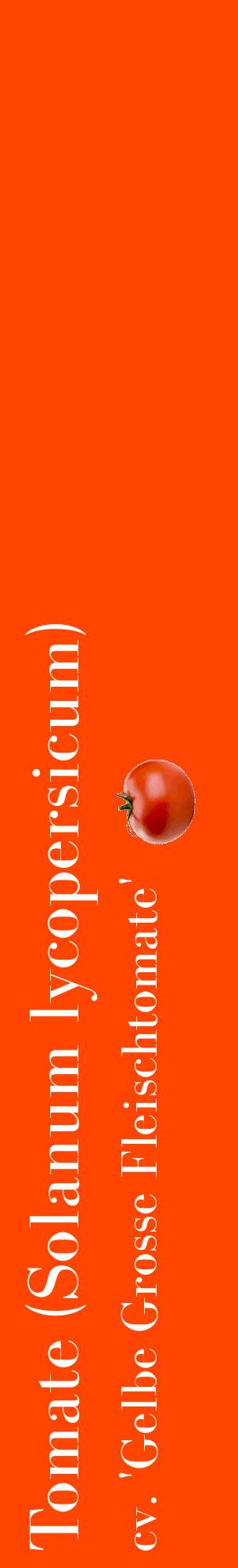 Étiquette de : Solanum lycopersicum cv. 'Gelbe Grosse Fleischtomate' - format c - style blanche26_basiquebod avec comestibilité simplifiée