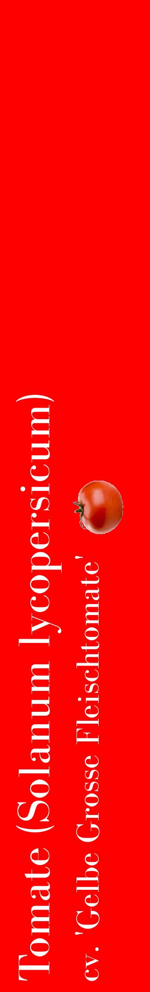 Étiquette de : Solanum lycopersicum cv. 'Gelbe Grosse Fleischtomate' - format c - style blanche27_basiquebod avec comestibilité simplifiée