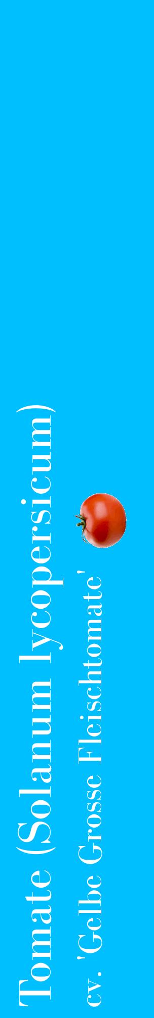 Étiquette de : Solanum lycopersicum cv. 'Gelbe Grosse Fleischtomate' - format c - style blanche2_basiquebod avec comestibilité simplifiée
