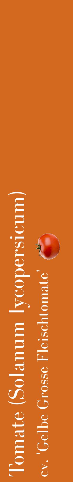 Étiquette de : Solanum lycopersicum cv. 'Gelbe Grosse Fleischtomate' - format c - style blanche31_basiquebod avec comestibilité simplifiée