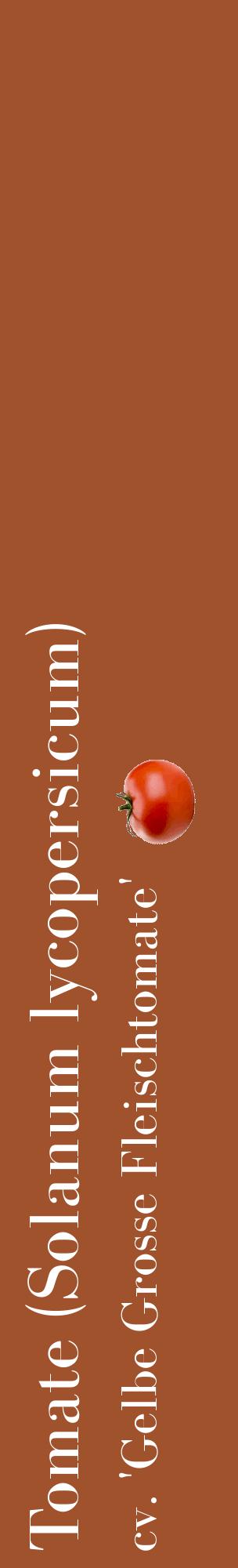 Étiquette de : Solanum lycopersicum cv. 'Gelbe Grosse Fleischtomate' - format c - style blanche32_basiquebod avec comestibilité simplifiée