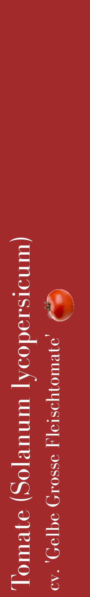 Étiquette de : Solanum lycopersicum cv. 'Gelbe Grosse Fleischtomate' - format c - style blanche33_basiquebod avec comestibilité simplifiée