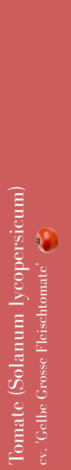 Étiquette de : Solanum lycopersicum cv. 'Gelbe Grosse Fleischtomate' - format c - style blanche35_basiquebod avec comestibilité simplifiée