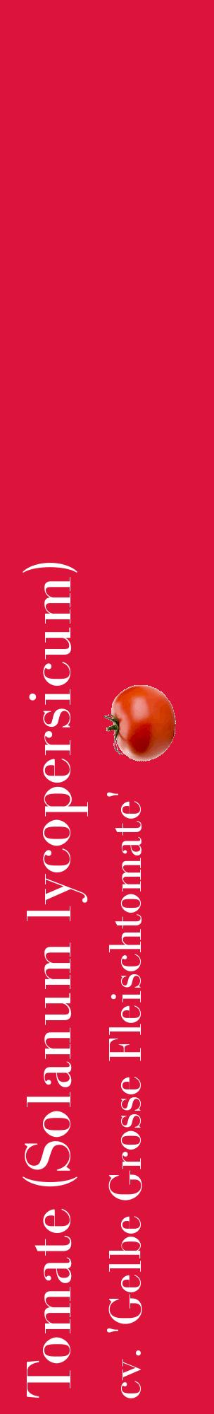 Étiquette de : Solanum lycopersicum cv. 'Gelbe Grosse Fleischtomate' - format c - style blanche36_basiquebod avec comestibilité simplifiée