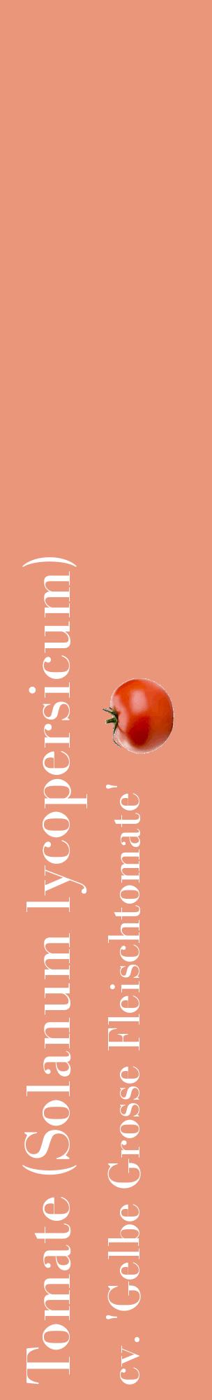 Étiquette de : Solanum lycopersicum cv. 'Gelbe Grosse Fleischtomate' - format c - style blanche37_basiquebod avec comestibilité simplifiée