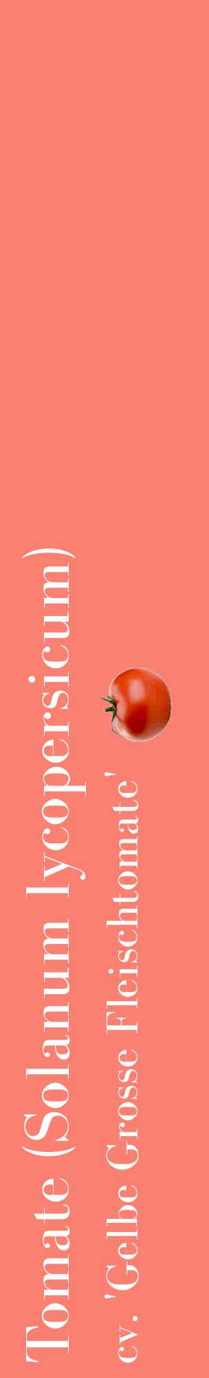 Étiquette de : Solanum lycopersicum cv. 'Gelbe Grosse Fleischtomate' - format c - style blanche38_basiquebod avec comestibilité simplifiée