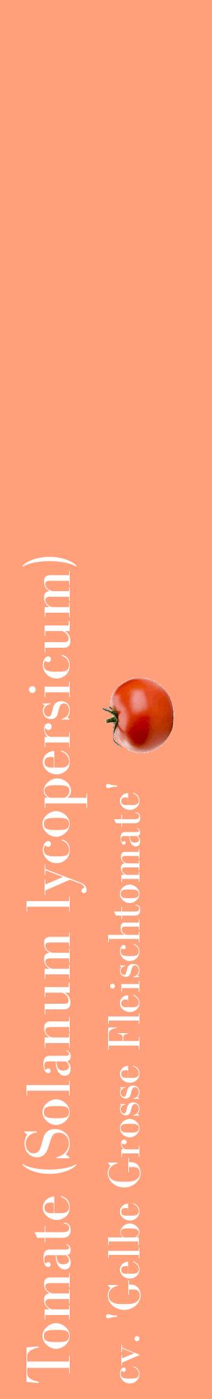 Étiquette de : Solanum lycopersicum cv. 'Gelbe Grosse Fleischtomate' - format c - style blanche39_basiquebod avec comestibilité simplifiée