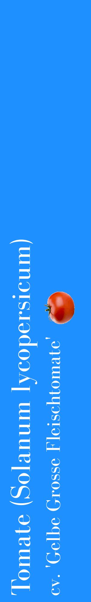Étiquette de : Solanum lycopersicum cv. 'Gelbe Grosse Fleischtomate' - format c - style blanche3_basiquebod avec comestibilité simplifiée