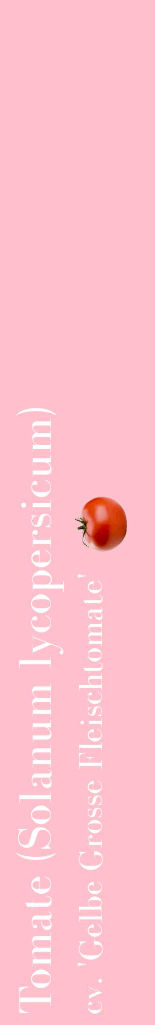 Étiquette de : Solanum lycopersicum cv. 'Gelbe Grosse Fleischtomate' - format c - style blanche40_basiquebod avec comestibilité simplifiée