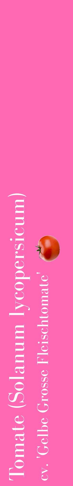 Étiquette de : Solanum lycopersicum cv. 'Gelbe Grosse Fleischtomate' - format c - style blanche42_basiquebod avec comestibilité simplifiée