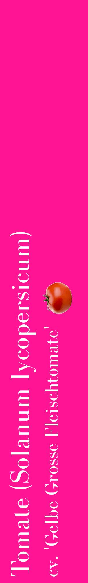 Étiquette de : Solanum lycopersicum cv. 'Gelbe Grosse Fleischtomate' - format c - style blanche43_basiquebod avec comestibilité simplifiée