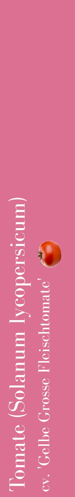 Étiquette de : Solanum lycopersicum cv. 'Gelbe Grosse Fleischtomate' - format c - style blanche44_basiquebod avec comestibilité simplifiée