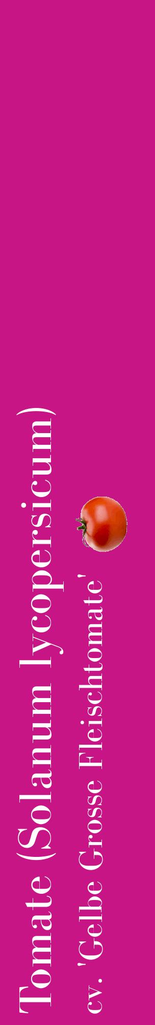 Étiquette de : Solanum lycopersicum cv. 'Gelbe Grosse Fleischtomate' - format c - style blanche45_basiquebod avec comestibilité simplifiée