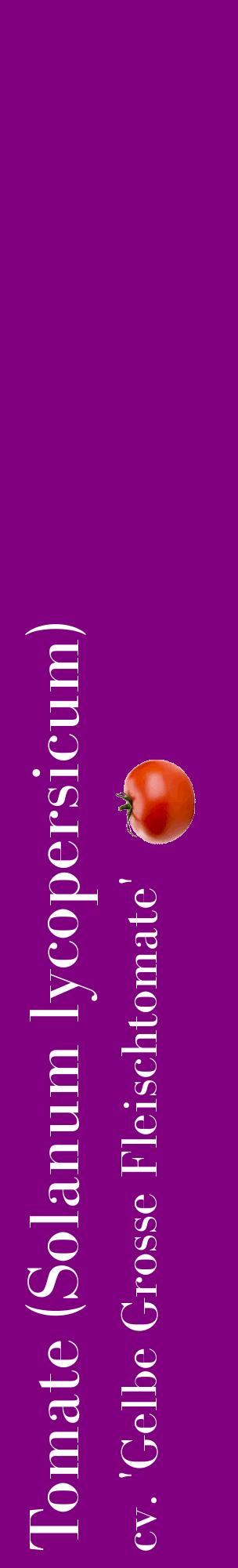Étiquette de : Solanum lycopersicum cv. 'Gelbe Grosse Fleischtomate' - format c - style blanche46_basiquebod avec comestibilité simplifiée