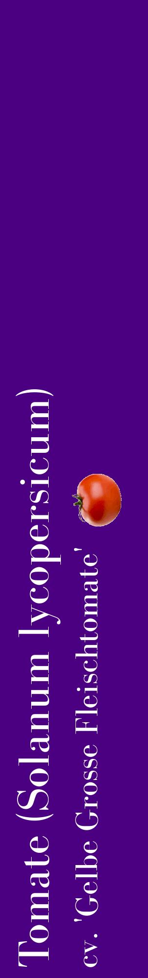 Étiquette de : Solanum lycopersicum cv. 'Gelbe Grosse Fleischtomate' - format c - style blanche47_basiquebod avec comestibilité simplifiée