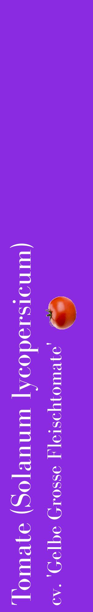 Étiquette de : Solanum lycopersicum cv. 'Gelbe Grosse Fleischtomate' - format c - style blanche49_basiquebod avec comestibilité simplifiée