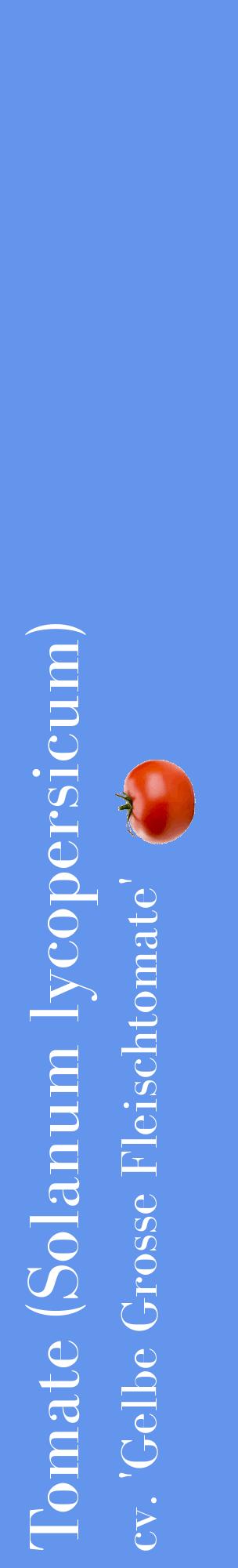 Étiquette de : Solanum lycopersicum cv. 'Gelbe Grosse Fleischtomate' - format c - style blanche4_basiquebod avec comestibilité simplifiée