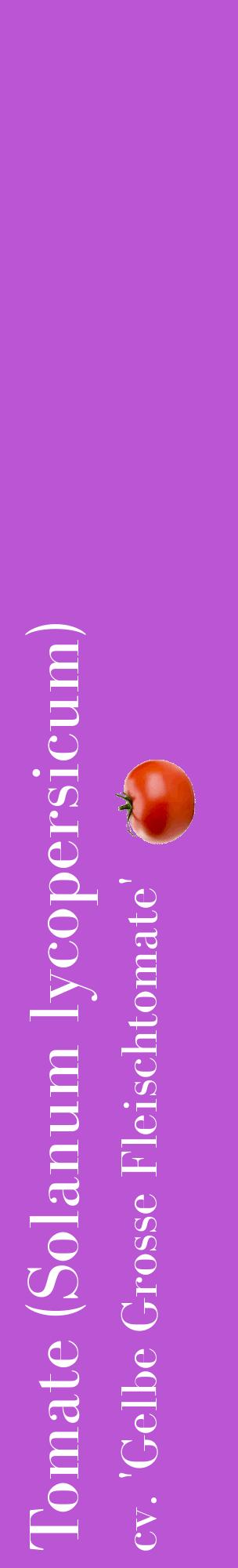 Étiquette de : Solanum lycopersicum cv. 'Gelbe Grosse Fleischtomate' - format c - style blanche50_basiquebod avec comestibilité simplifiée