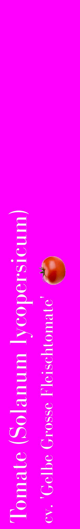 Étiquette de : Solanum lycopersicum cv. 'Gelbe Grosse Fleischtomate' - format c - style blanche51_basiquebod avec comestibilité simplifiée