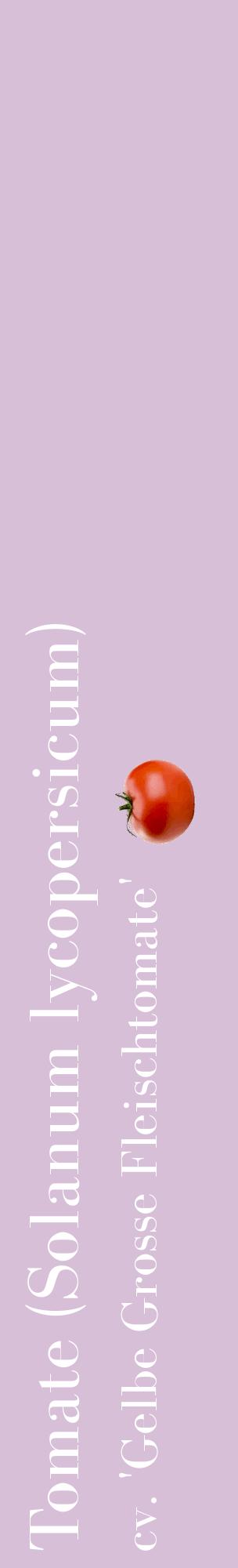Étiquette de : Solanum lycopersicum cv. 'Gelbe Grosse Fleischtomate' - format c - style blanche54_basiquebod avec comestibilité simplifiée