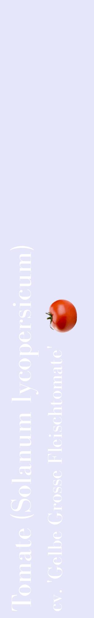 Étiquette de : Solanum lycopersicum cv. 'Gelbe Grosse Fleischtomate' - format c - style blanche55_basiquebod avec comestibilité simplifiée