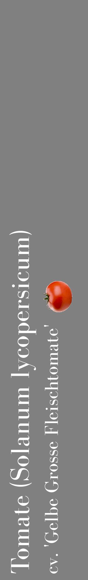 Étiquette de : Solanum lycopersicum cv. 'Gelbe Grosse Fleischtomate' - format c - style blanche57_basiquebod avec comestibilité simplifiée