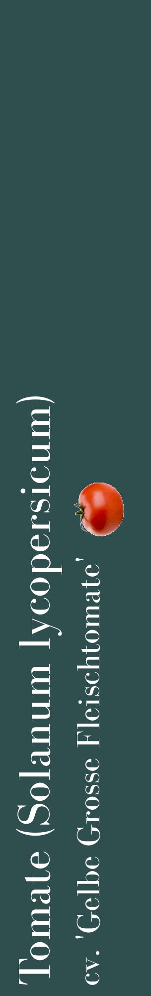 Étiquette de : Solanum lycopersicum cv. 'Gelbe Grosse Fleischtomate' - format c - style blanche58_basiquebod avec comestibilité simplifiée