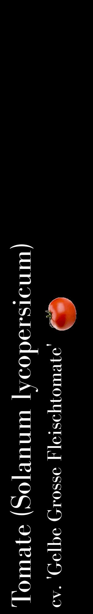 Étiquette de : Solanum lycopersicum cv. 'Gelbe Grosse Fleischtomate' - format c - style blanche59_basiquebod avec comestibilité simplifiée