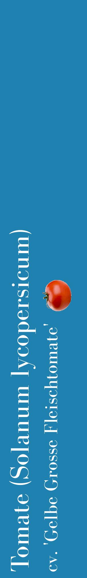 Étiquette de : Solanum lycopersicum cv. 'Gelbe Grosse Fleischtomate' - format c - style blanche6_basiquebod avec comestibilité simplifiée