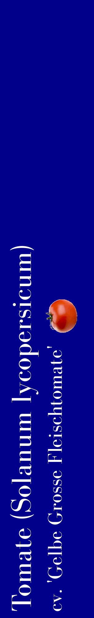 Étiquette de : Solanum lycopersicum cv. 'Gelbe Grosse Fleischtomate' - format c - style blanche7_basiquebod avec comestibilité simplifiée