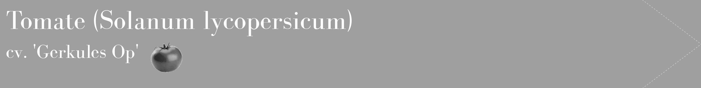 Étiquette de : Solanum lycopersicum cv. 'Gerkules Op' - format c - style blanche24_simple_simplebod avec comestibilité simplifiée