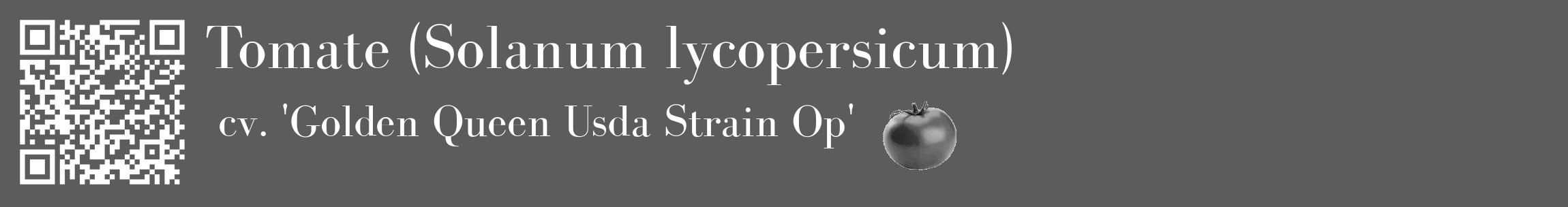 Étiquette de : Solanum lycopersicum cv. 'Golden Queen Usda Strain Op' - format c - style blanche49_basique_basiquebod avec qrcode et comestibilité simplifiée