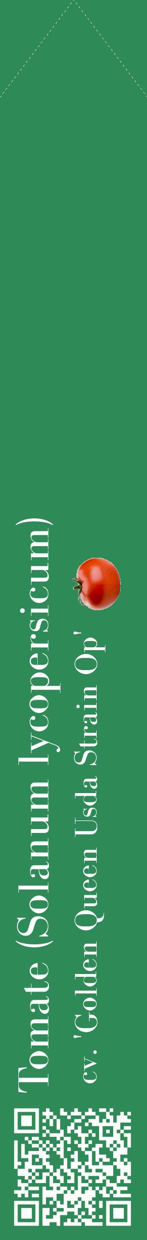 Étiquette de : Solanum lycopersicum cv. 'Golden Queen Usda Strain Op' - format c - style blanche11_simplebod avec qrcode et comestibilité simplifiée