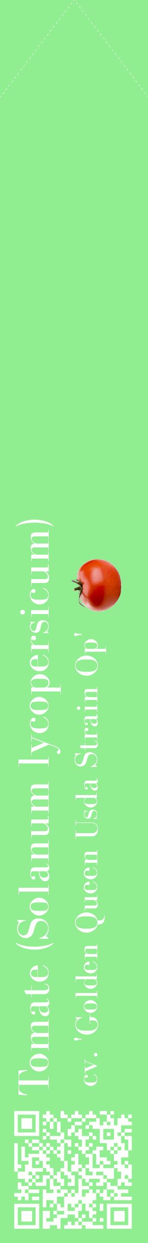 Étiquette de : Solanum lycopersicum cv. 'Golden Queen Usda Strain Op' - format c - style blanche15_simplebod avec qrcode et comestibilité simplifiée