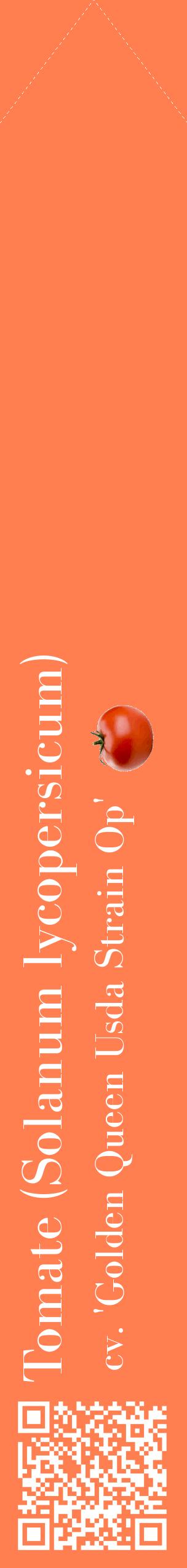 Étiquette de : Solanum lycopersicum cv. 'Golden Queen Usda Strain Op' - format c - style blanche24_simplebod avec qrcode et comestibilité simplifiée