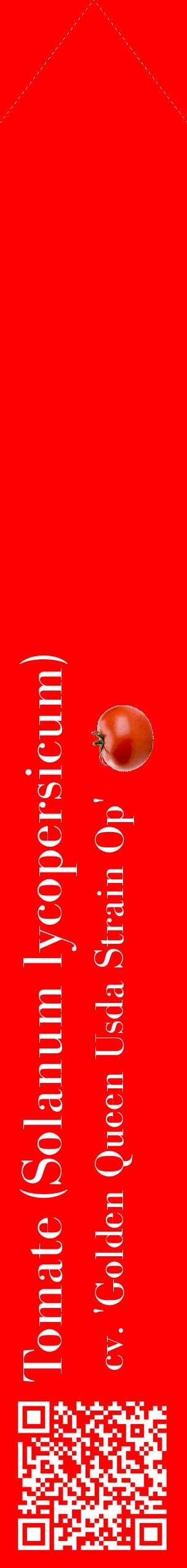 Étiquette de : Solanum lycopersicum cv. 'Golden Queen Usda Strain Op' - format c - style blanche27_simplebod avec qrcode et comestibilité simplifiée