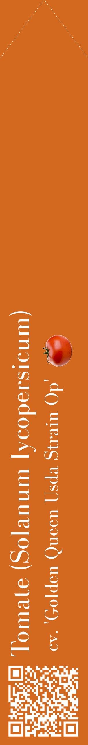 Étiquette de : Solanum lycopersicum cv. 'Golden Queen Usda Strain Op' - format c - style blanche31_simplebod avec qrcode et comestibilité simplifiée