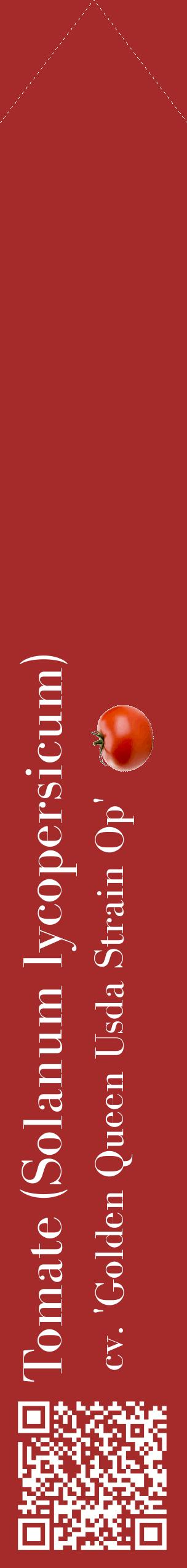 Étiquette de : Solanum lycopersicum cv. 'Golden Queen Usda Strain Op' - format c - style blanche33_simplebod avec qrcode et comestibilité simplifiée