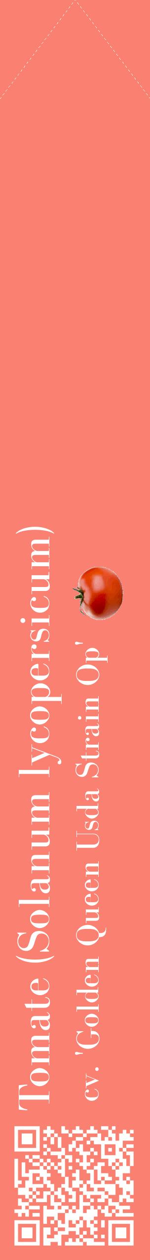 Étiquette de : Solanum lycopersicum cv. 'Golden Queen Usda Strain Op' - format c - style blanche38_simplebod avec qrcode et comestibilité simplifiée