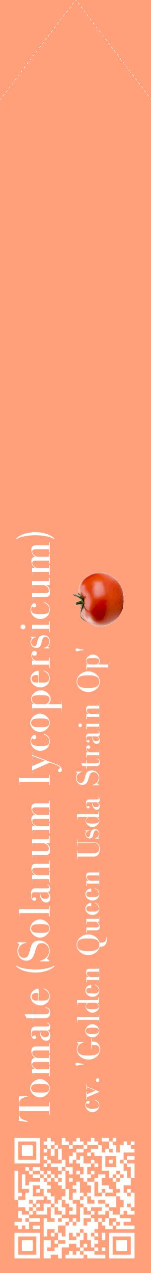 Étiquette de : Solanum lycopersicum cv. 'Golden Queen Usda Strain Op' - format c - style blanche39_simplebod avec qrcode et comestibilité simplifiée