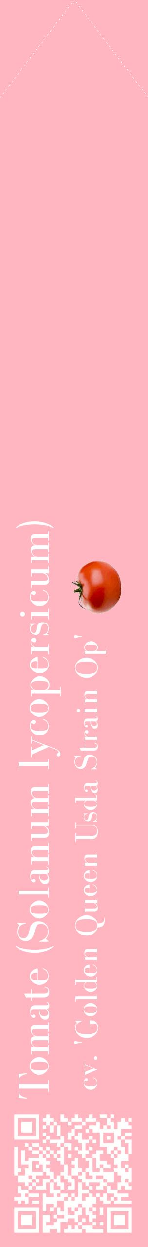 Étiquette de : Solanum lycopersicum cv. 'Golden Queen Usda Strain Op' - format c - style blanche41_simplebod avec qrcode et comestibilité simplifiée