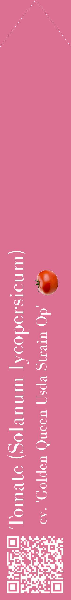 Étiquette de : Solanum lycopersicum cv. 'Golden Queen Usda Strain Op' - format c - style blanche44_simplebod avec qrcode et comestibilité simplifiée